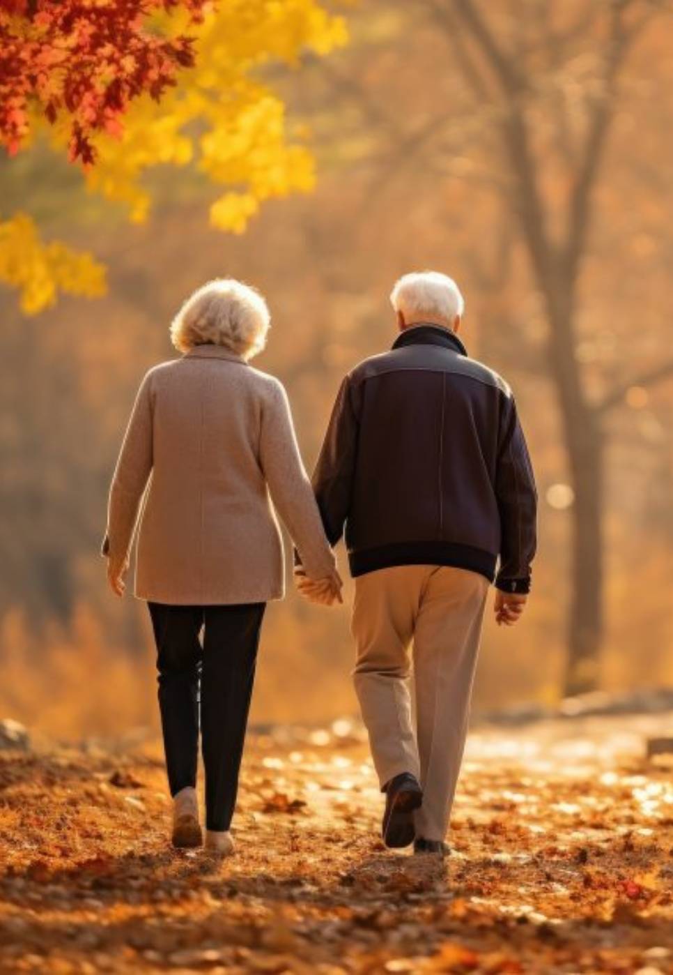 elderly couple walking away elderly couple walking away