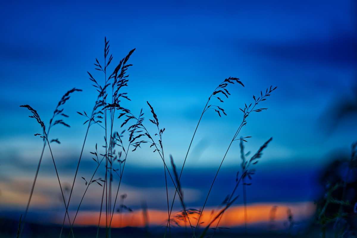 /nature-mood-sunset