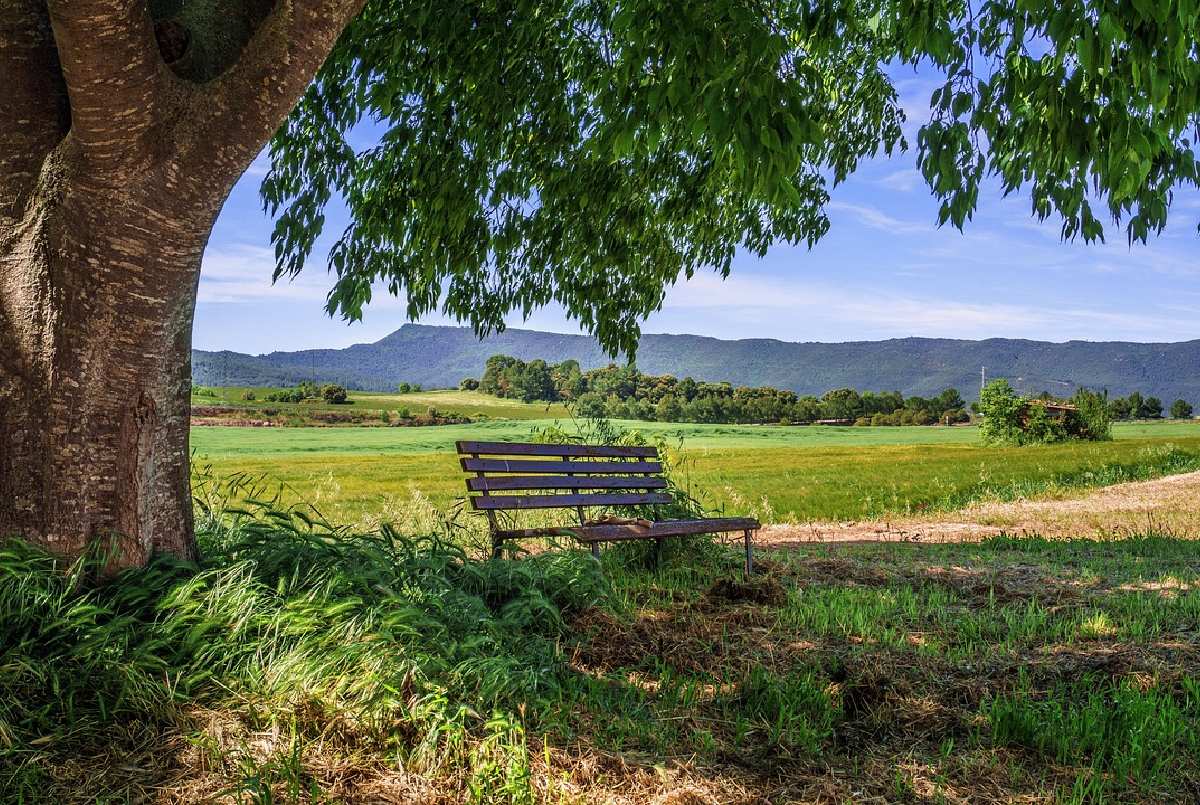 rural-area-bank-landscape-rural(1) rural-area-bank-landscape-rural(1)
