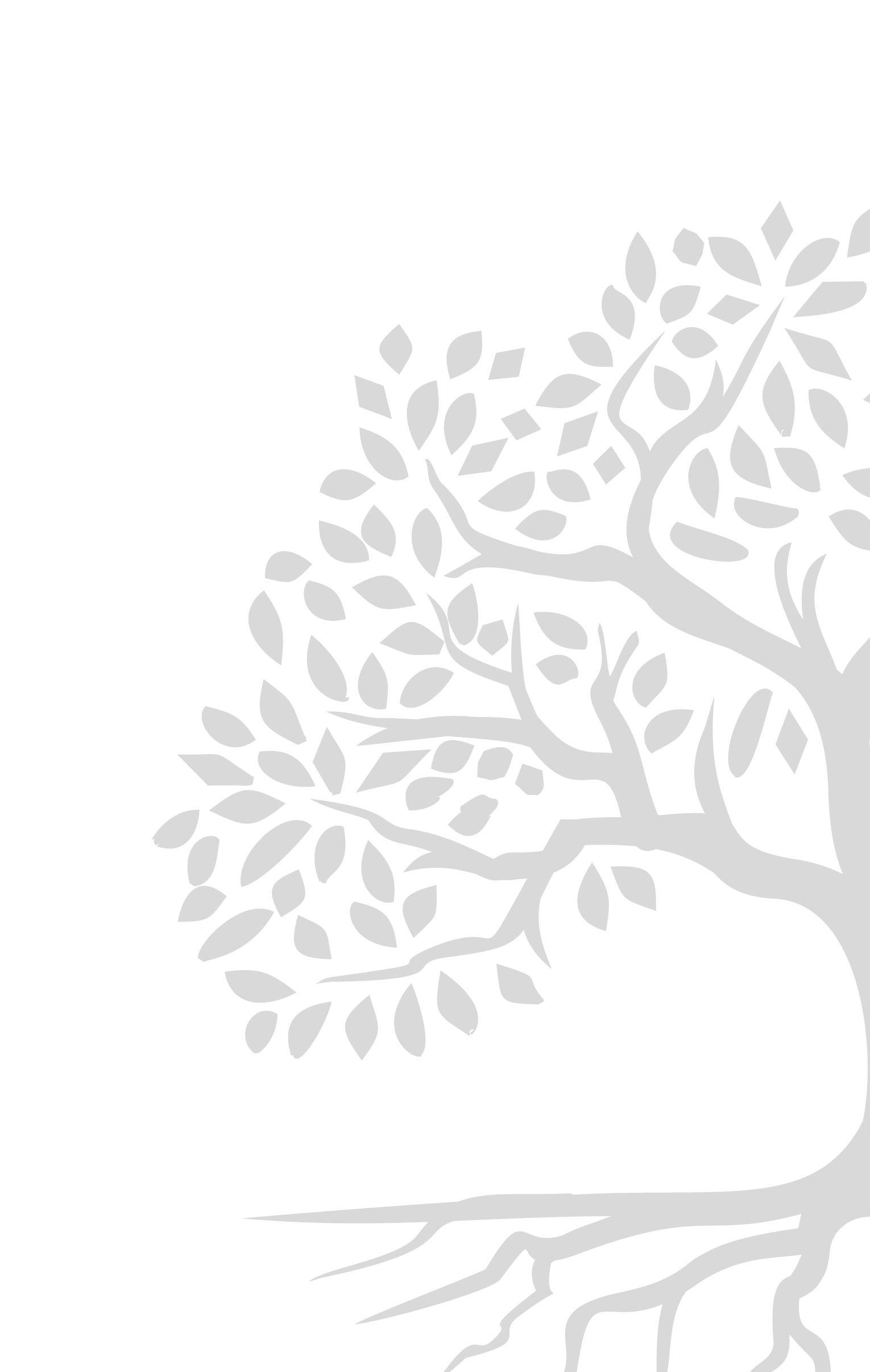 —Pngtree—tree logo design simple hexagon_8369875(2) —Pngtree—tree logo design simple hexagon_8369875(2)