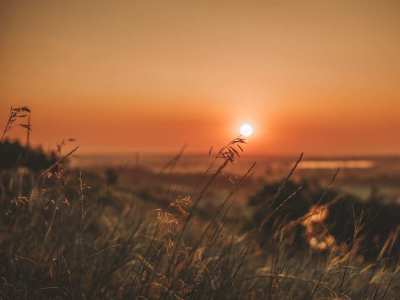 grass-sunset-field-river-summer(1)