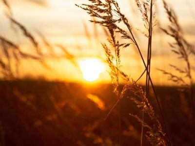 Inspiring view of morning light