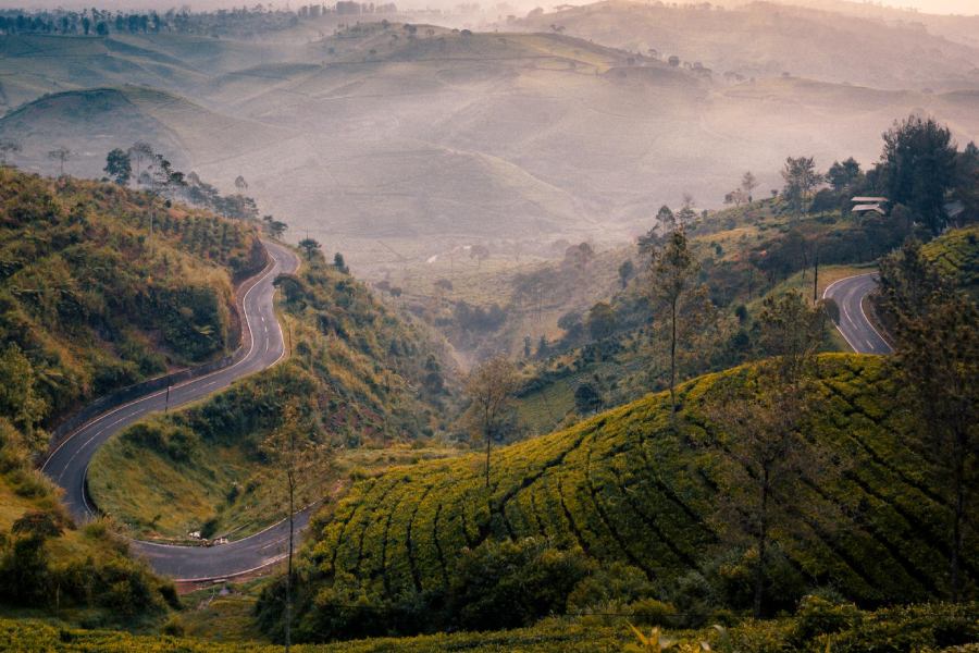 Scenic view of landscape against sky during sunset
