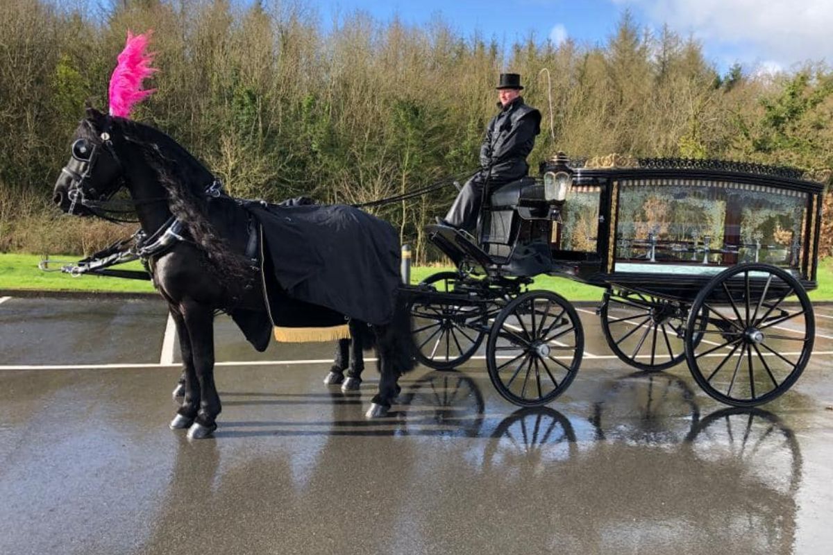 Untitled design - 2026-03-31T090924.412